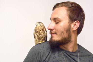 Bir adamın omzuna kerkenez (Falco tinnunculus)