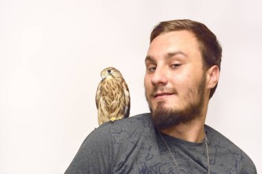 Bir adamın omzuna kerkenez (Falco tinnunculus)