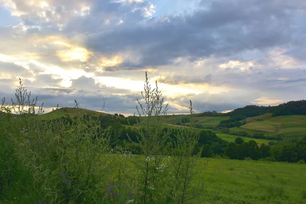 緑の草原と嵐の雲 — ストック写真