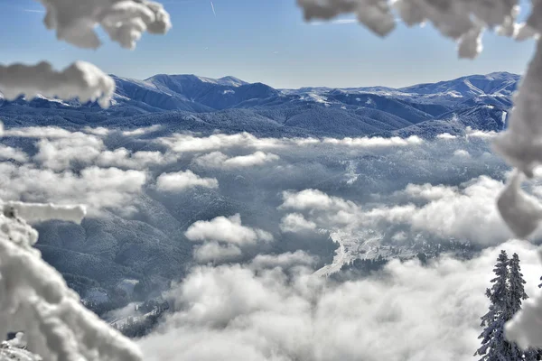 Paisaje invernal con bosques de abetos cubiertos de nieve pesada en la montaña Postavaru, Poiana Brasov resort, Rumania — Foto de Stock