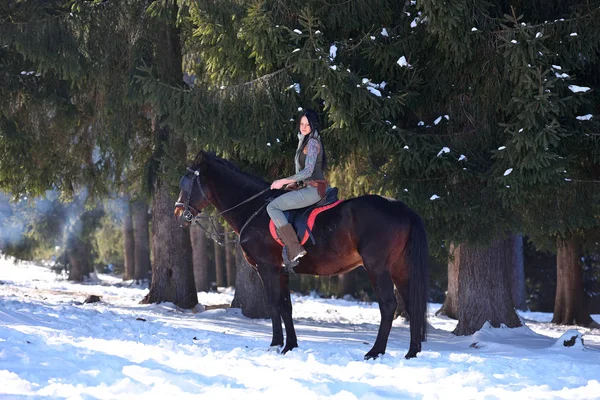 Mujer joven a caballo al aire libre en invierno —  Fotos de Stock