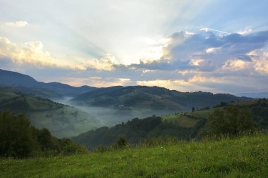 Yeşil otlar ile güzel dağ çayır. Güneş doğuyor. vahşi Transilvanya tepelerde manzara. Holbav. Romanya. Anahtar, koyu arka plan düşük, spot aydınlatma.