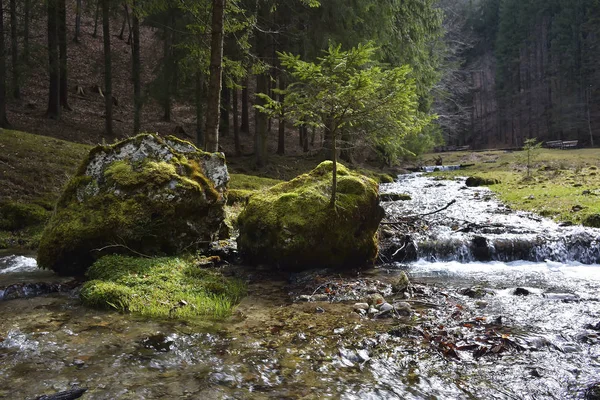 Pequeño río en un cañón de montaña de primavera — Foto de Stock