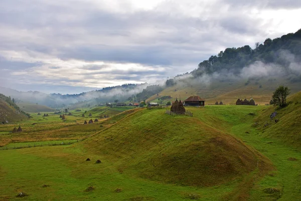 Mountain landscape in summer morning, Romania, Fundatura Ponorului — Stock Photo, Image