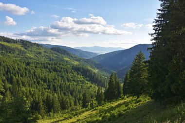 dağ manzarası Crapathian, Romanya