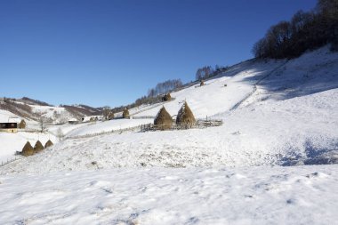Güneşli bir kış, vahşi Transilvanya tepelerde donmuş. Fundatura Ponorului. Romanya. Düşük anahtar, koyu arka plan, spot aydınlatma ve zengin eski ustalar