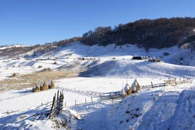 Güneşli bir kış, vahşi Transilvanya tepelerde donmuş. Fundatura Ponorului. Romanya. Düşük anahtar, koyu arka plan, spot aydınlatma ve zengin eski ustalar