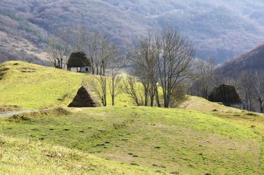 Eylül Karpat Dağları kırsal sahnede. Otantik köy 