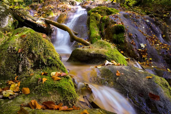 Waterfall in Cheile Nerei national park, La Vaioaga - Mountain stream among the mossy stones — Stock Photo, Image