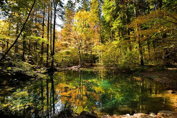 Hermoso estanque en el bosque, Ochiul Beiului, Condado de Caras Severin, Rumania —  Fotos de Stock