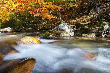 Ağaçlar ve nehirlerle dolu sonbahar manzarası