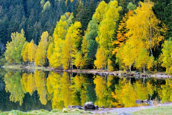 Осенний пейзаж. Озеро Святой Аны в Румынии, единственное вулканическое озеро в Европе, образовавшееся в кратере мёртвого вулкана — стоковое фото