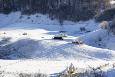 Güneşli bir kış, vahşi Transilvanya tepelerde donmuş. Fundatura Ponorului. Romanya. Düşük anahtar, koyu arka plan, spot aydınlatma ve zengin eski ustalar