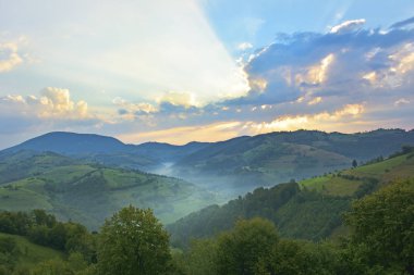 Yeşil otlar ile güzel dağ çayır. Güneş doğuyor. vahşi Transilvanya tepelerde manzara. Holbav. Romanya. 