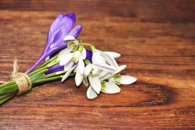 Yıpranmış odunda bahar çiçekleri