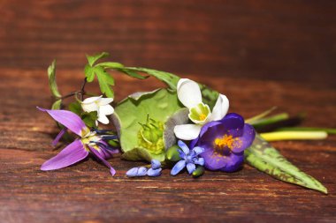 Yıpranmış odunda bahar çiçekleri