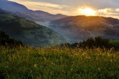 Dağ Vadisi parlak gündoğumu sırasında. Güzel doğal peyzaj