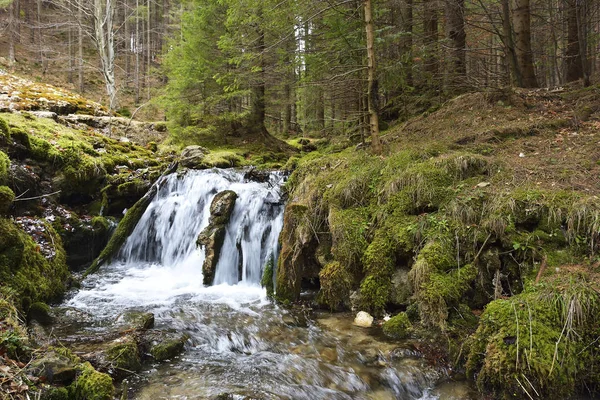 Cascada Pequeña Larga Exposición Hermosas Cascadas Rocosas Pequeñas — Foto de Stock