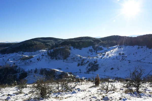 Winter Besneeuwd Landschap Fundatura Ponorului Roemenië — Stockfoto