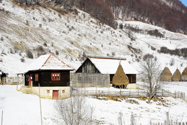 Winter Besneeuwd Landschap Fundatura Ponorului Roemenië — Stockfoto