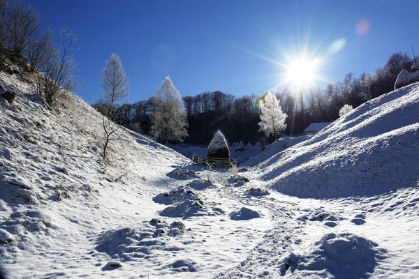 冬の雪景色 ルーマニアのポンルーイ財団 — ストック写真