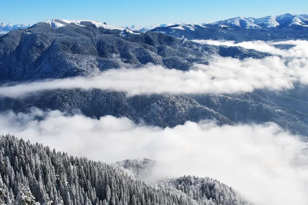 Paisaje Nevado Invierno Postavaru Brasov Rumania —  Fotos de Stock