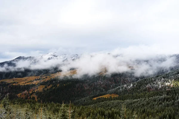 Paisaje Invernal Con Valle Montañoso — Foto de Stock