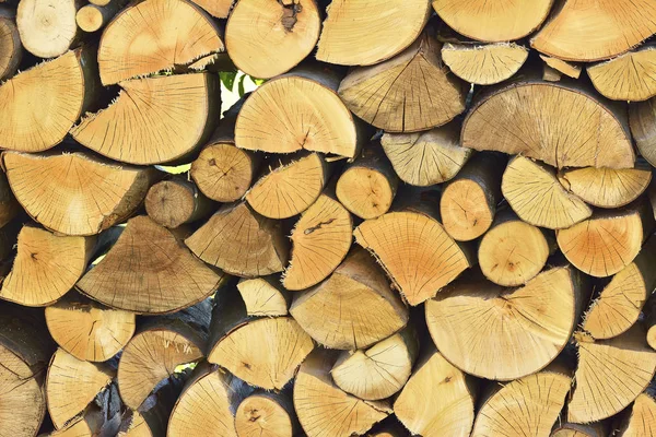 Stos Drewna Opałowego Stos Ułożone Drewno Opałowe Przygotowane Ogrzewania Domu — Zdjęcie stockowe