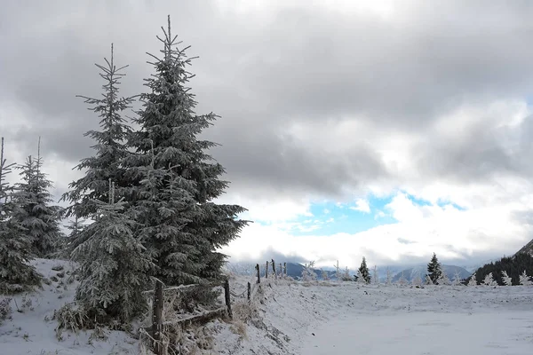 冬の雪景色 ポスタバル ブラゾフ ルーマニア — ストック写真