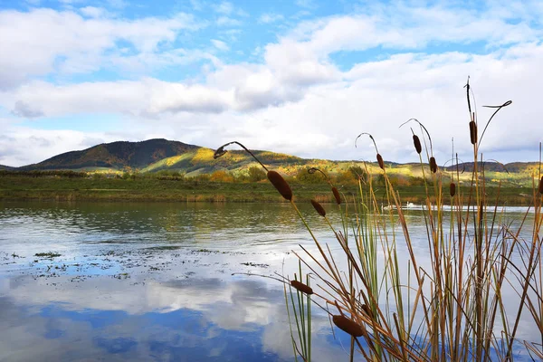 Pastizales Río — Foto de Stock