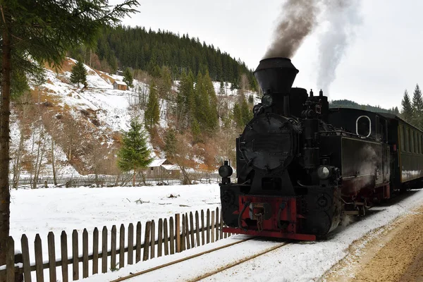 Ejecución Locomotora Leña Mocanita Bucovina Rumania — Foto de Stock