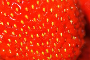 Makro fotoğraf çilek doku