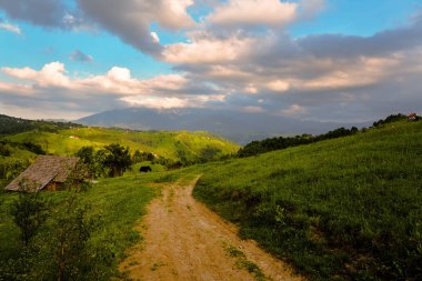 Kırsal road, mavi gökyüzü ve güneş