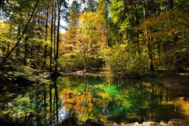 ormanda, Ochiul Beiului, güzel gölet Caras Severin İlçesi, Romanya