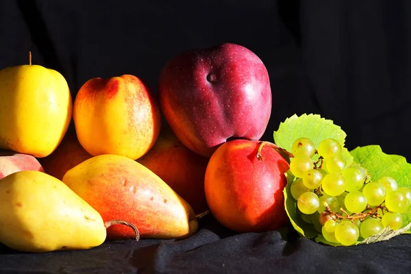 Fundo Fruta Outono Sobre Fundo Escuro — Fotografia de Stock