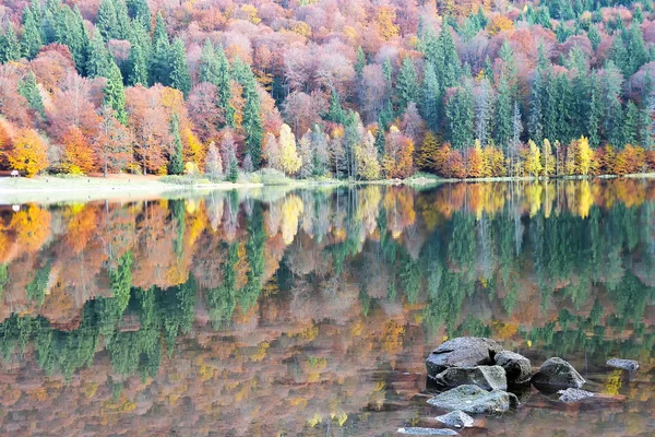 Saint Ana Meer Roemenië Het Alleen Vulkanische Meer Europa Gevormd — Stockfoto