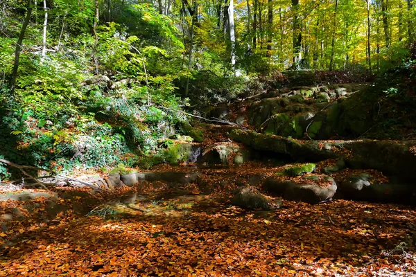 Batu Ditutupi Dengan Lumut Hutan Musim Gugur — Stok Foto