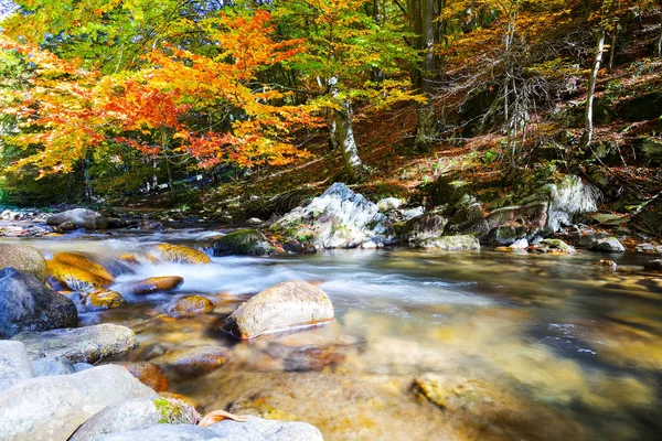 Small Waterfall Autumn Forest — Stock Photo, Image