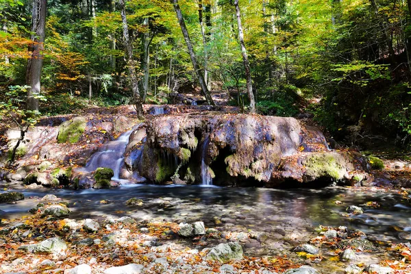 Kameny Pokryté Mechem Podzimním Lese — Stock fotografie