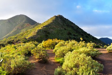 Güzel manzara muhteşem tropik sahne. Altın akşam ışığı mavi gökyüzü ve bulutlar yaz, Kanarya Adaları, İspanya ile gün batımında vadilerde dağ