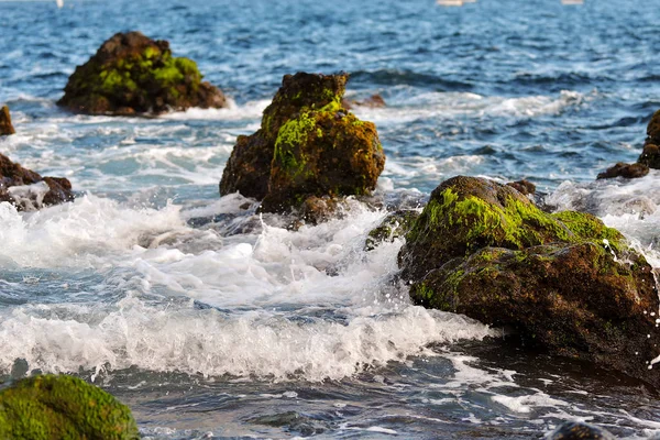Хвилі Падають Морський Берег Зелені Скелі — стокове фото