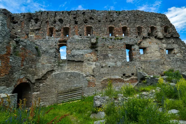 Het Fort Van Deva Een Fort Gelegen Stad Deva Hunedoara — Stockfoto
