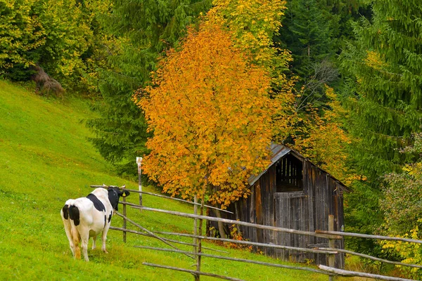 Podzimní Krajina Venkově — Stock fotografie