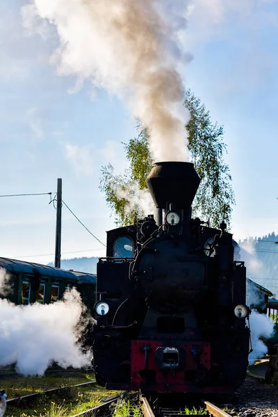 Ejecución Locomotora Leña Mocanita Bucovina Rumania — Foto de Stock