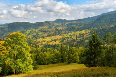 Kırsalda sonbahar manzarası