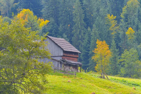 田舎の秋の風景 — ストック写真
