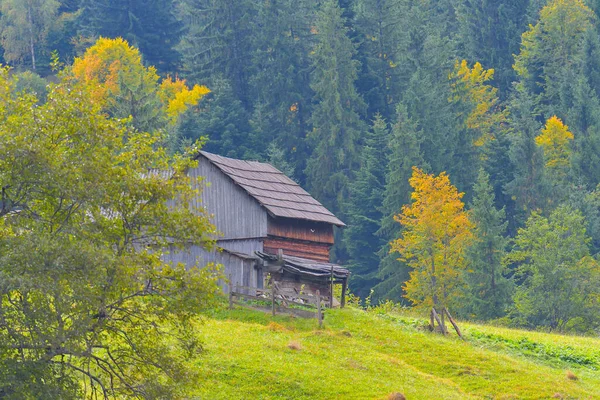 Kırsalda Sonbahar Manzarası — Stok fotoğraf