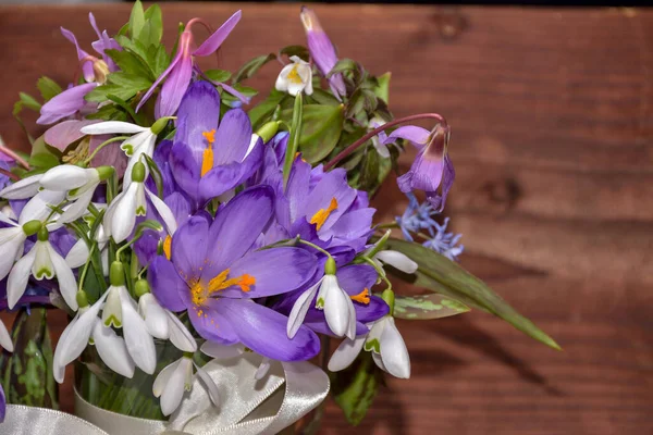 Wiosenne Kwiaty Drewnie Wietrznym — Zdjęcie stockowe