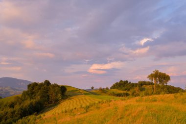 Sisli manzaralı çarpıcı doğa, Holbav köyü, Karpatlar, Transilvanya, Romanya, Avrupa