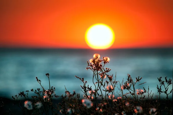 Dawn on Black sea. — Stock Photo, Image
